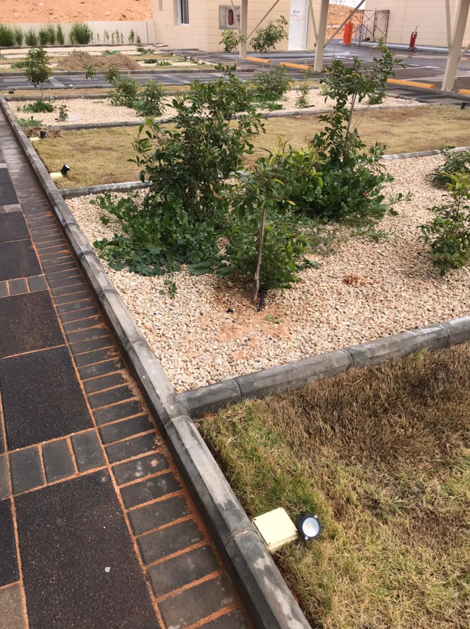 WhatsApp Image 2024-01-18 at 12.50.18_c753c4ed